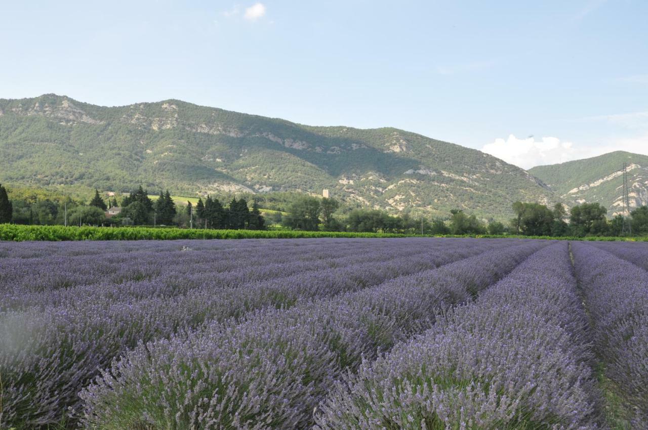 Gites Du Chateau D'Alencon Le Pegue Luaran gambar